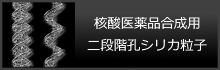 核酸医薬品合成用二段階孔シリカ粒子