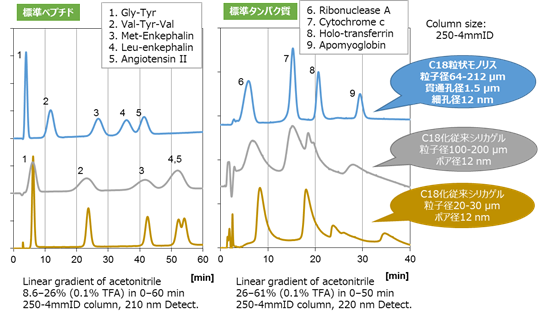 ペプチド・タンパク質分離精製用充填カラム分解能